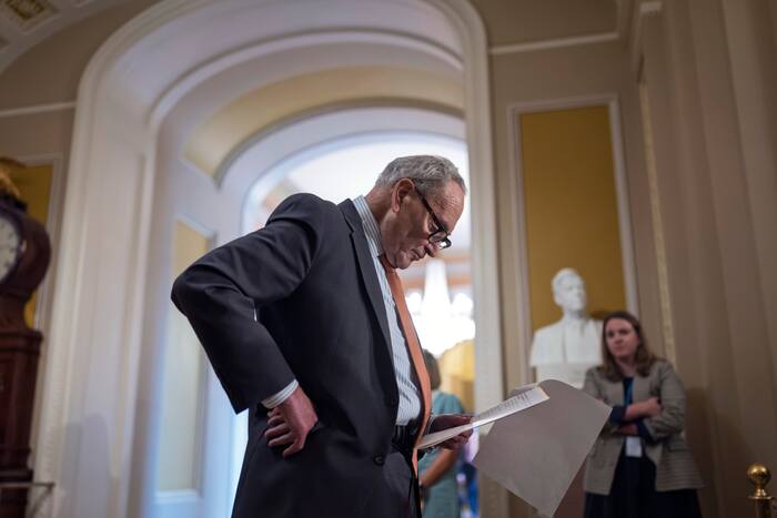 Chuck Schumer’s Senate Leadership Could Hinge on Midterms
