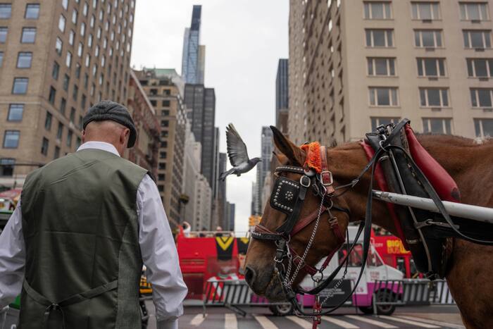 New York to ban Central Park horse-drawn carriages by 2028