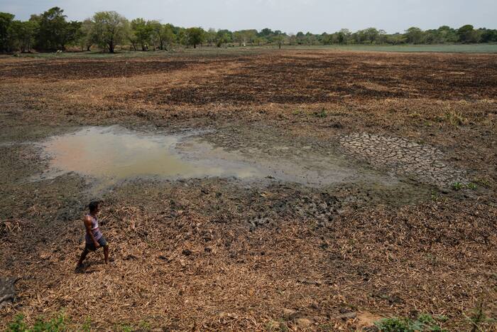 Sri Lanka drought leaves reservoirs dry and farmers struggling