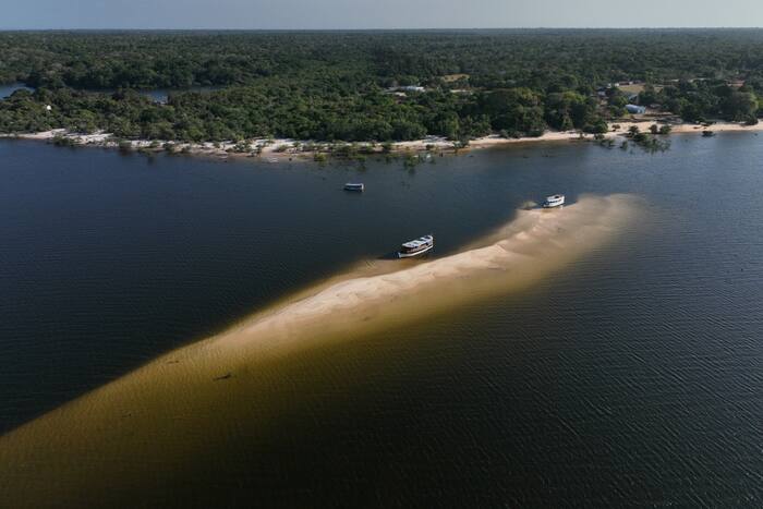 Brazil Election Puts Amazon Rainforest Protection at a Crossroads