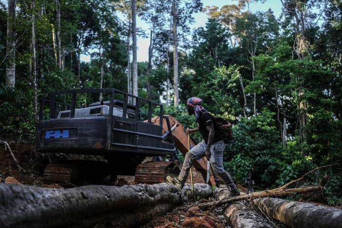 Saamaka people use technology to protect Amazon rainforest