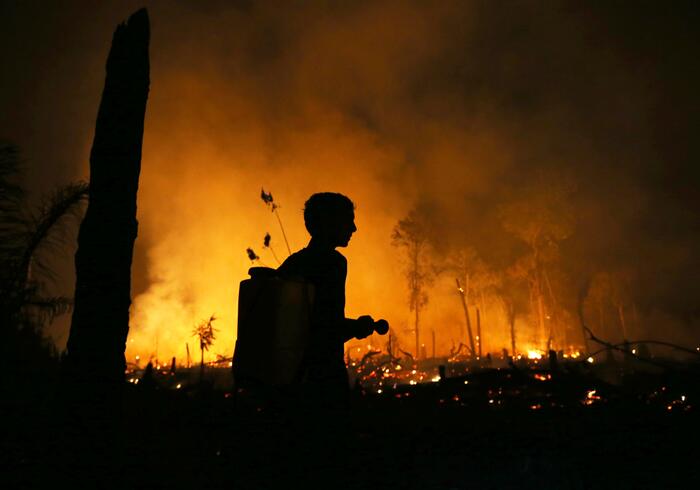 Brazil investigates surge in Amazon wildfires ahead of election