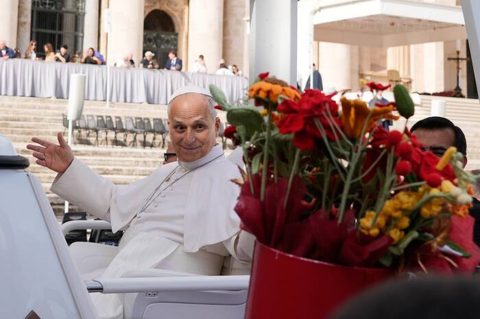 Pope Leo XIV cancels Assisi trip to recover from surgery
