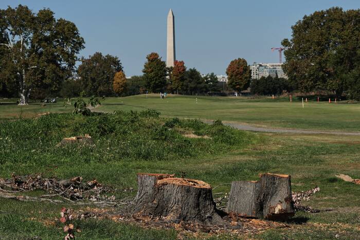 Judge blocks Trump's renovation plans for Washington golf course