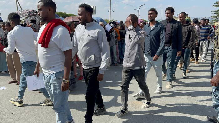Ethiopia sets up Tigray caretaker government as ex-fighters seek return to civilian life