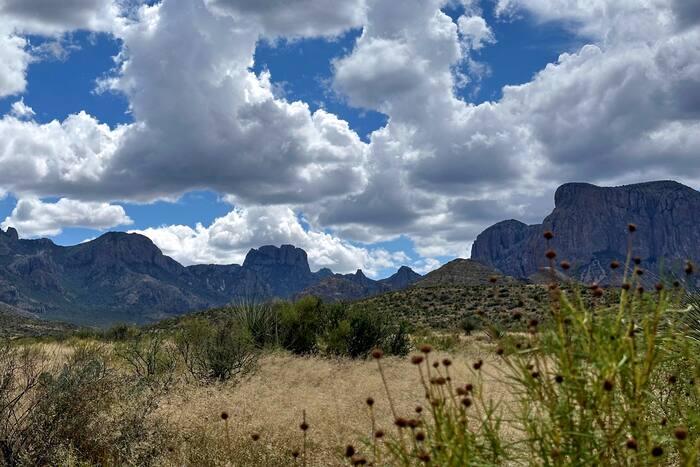 Trump administration considers scaling back Big Bend border project