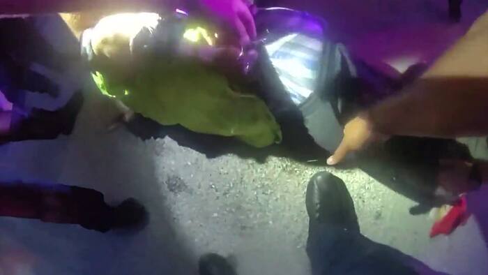 Body-cam video shows chaotic arrest of man accused in Ormond Beach attack, officer shooting