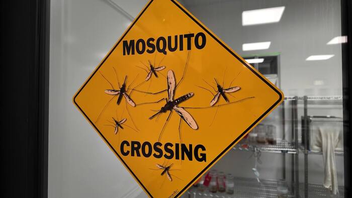 2 more locally acquired dengue cases confirmed in Orange County; aerial spraying planned