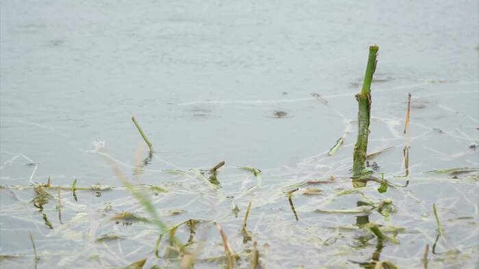 Daytona Beach prepares for several inches of rain by pumping ponds