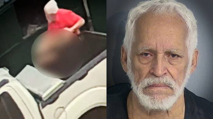 Florida man sentenced after dog dies from being thrown in dumpster