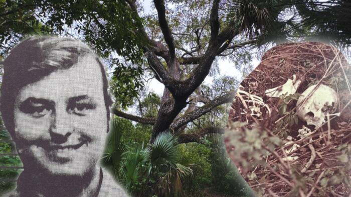 Here’s what to know about Florida’s notorious ‘Devil’s Tree’