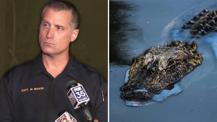 Nearly 12-foot alligator kills fisherman in Winter Garden