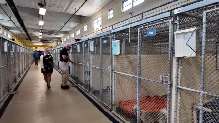 Seminole County warns Amendment 3 could end no-kill shelter status, cut key services