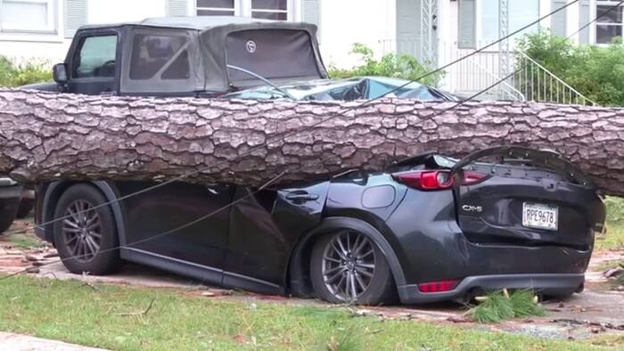 First Look at Hurricane Isaias Damage After One Death in Escambia County