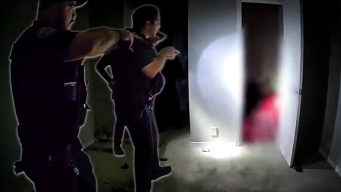 NEW VIDEO: 7 teens tied to Ocoee burglary found hiding in closet