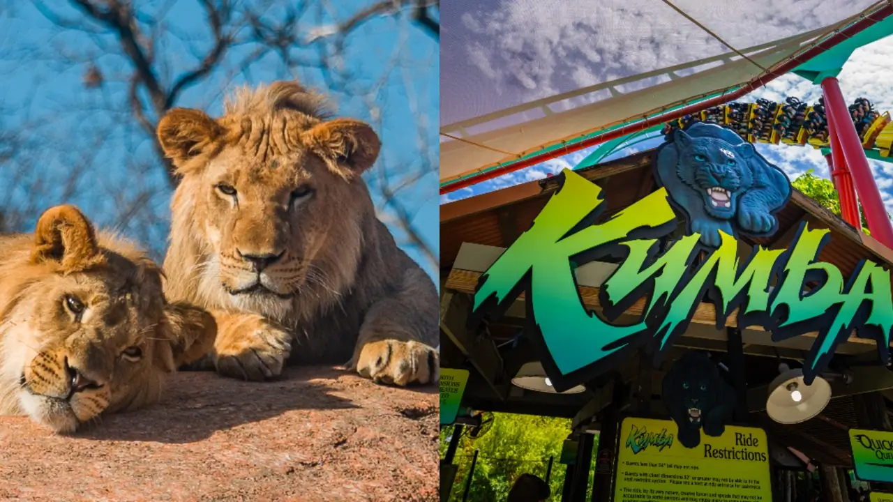 Busch_Gardens_Tampa_Bay