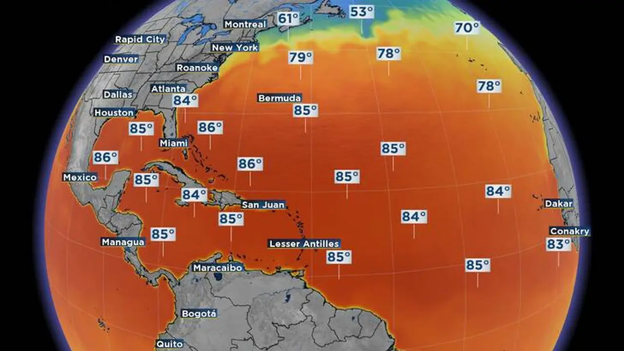 Hurricane Headquarters | Hurricanes, Houston, Texas, Gulf of Mexico ...