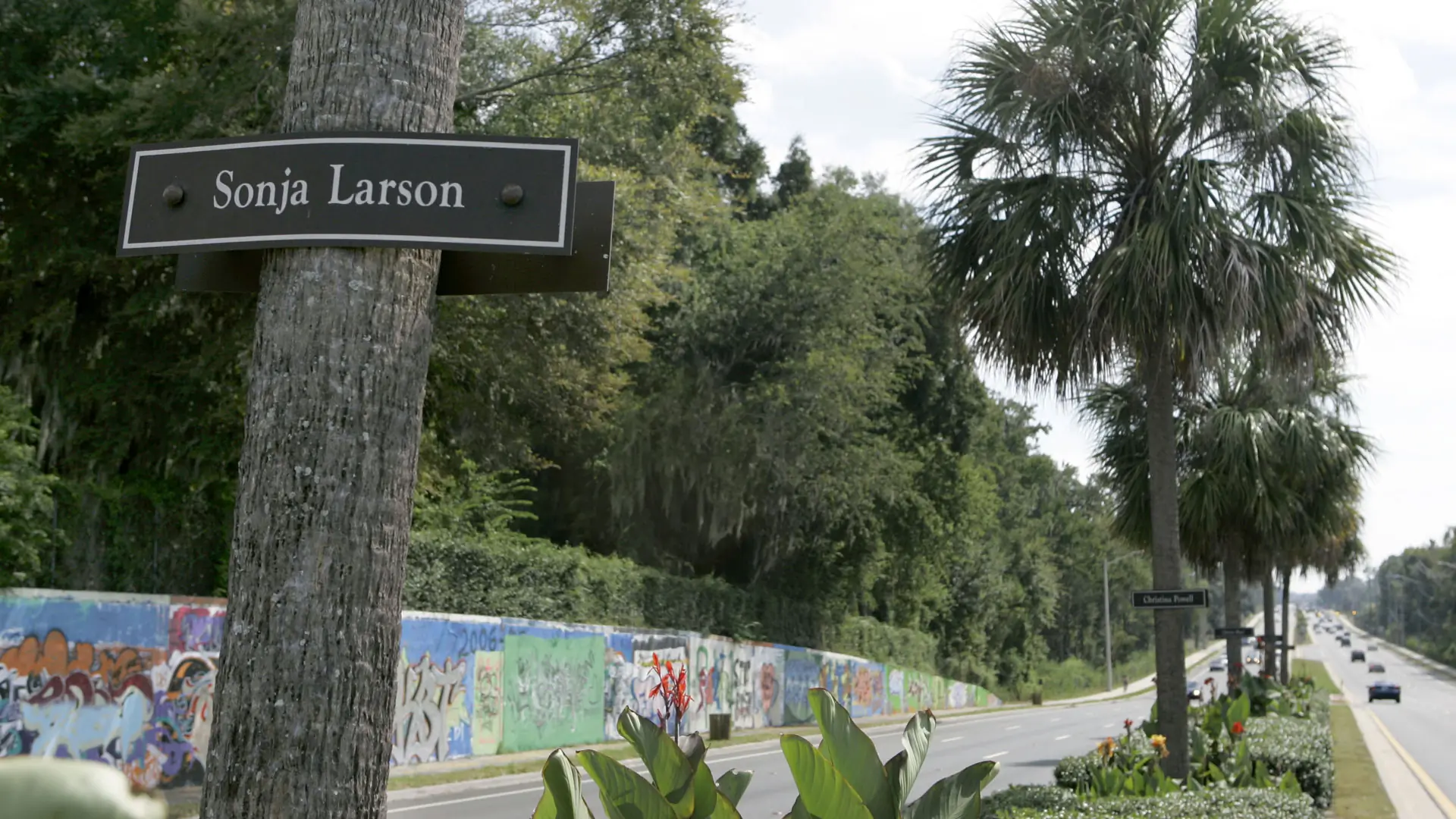 Auto Injectords New ESPN documentary remembers 1990 Gainesville murders, Steve Spurrier ...