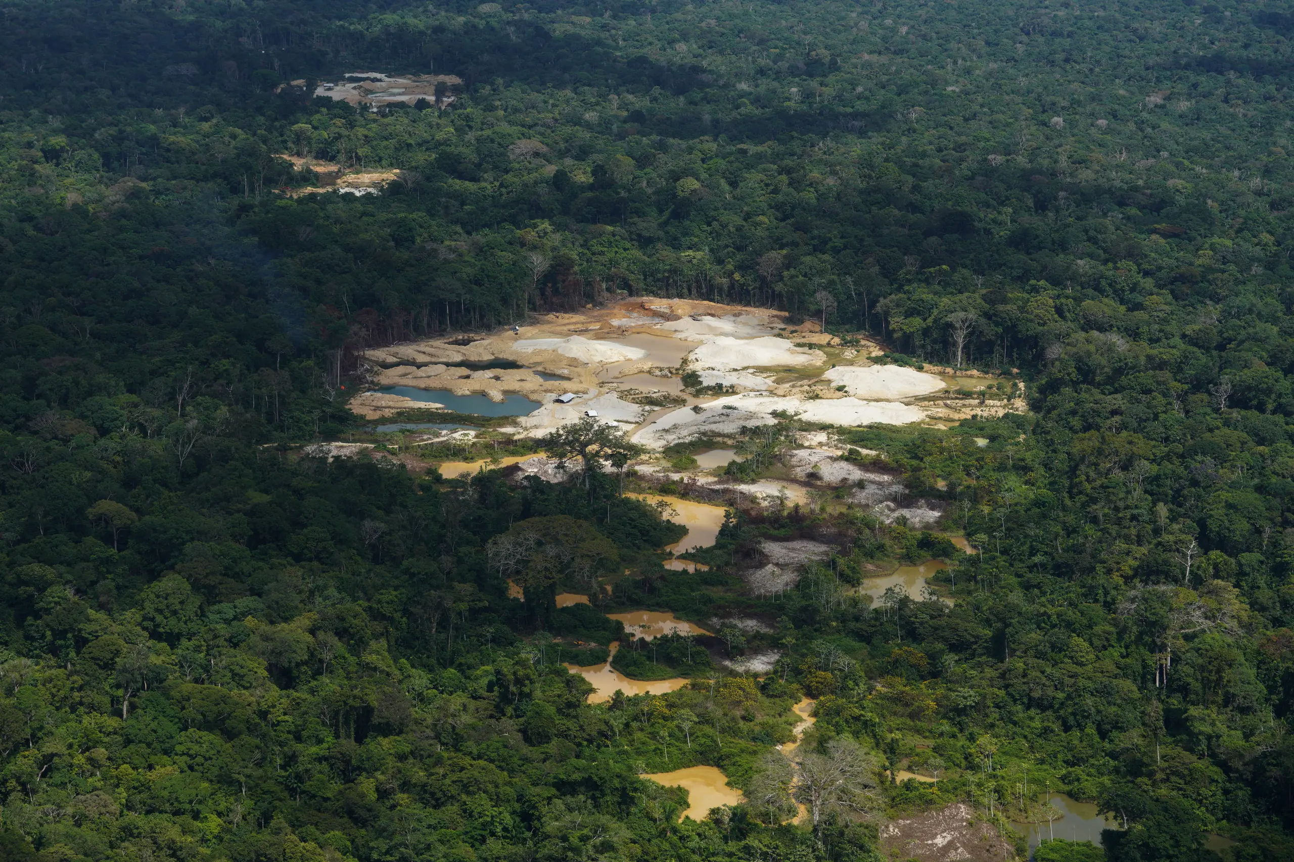 Logging Near Rivers Takeaways from AP's report on how Suriname's Saamaka are fighting to ...