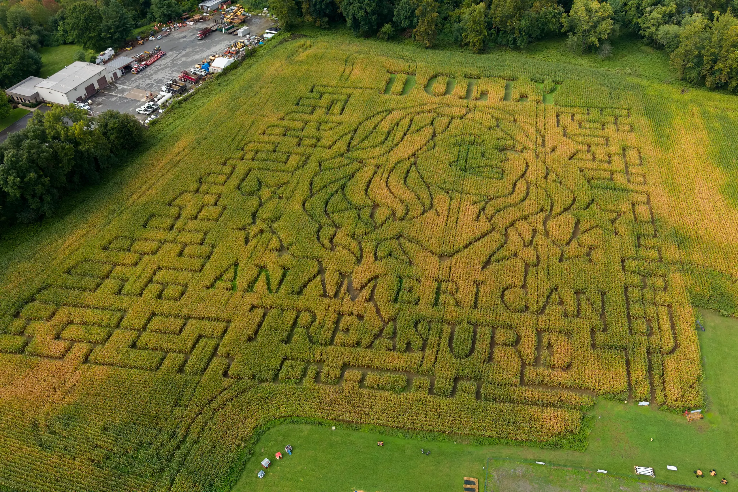 Aw shucks: Dolly Parton corn mazes crop up in fields nationwide