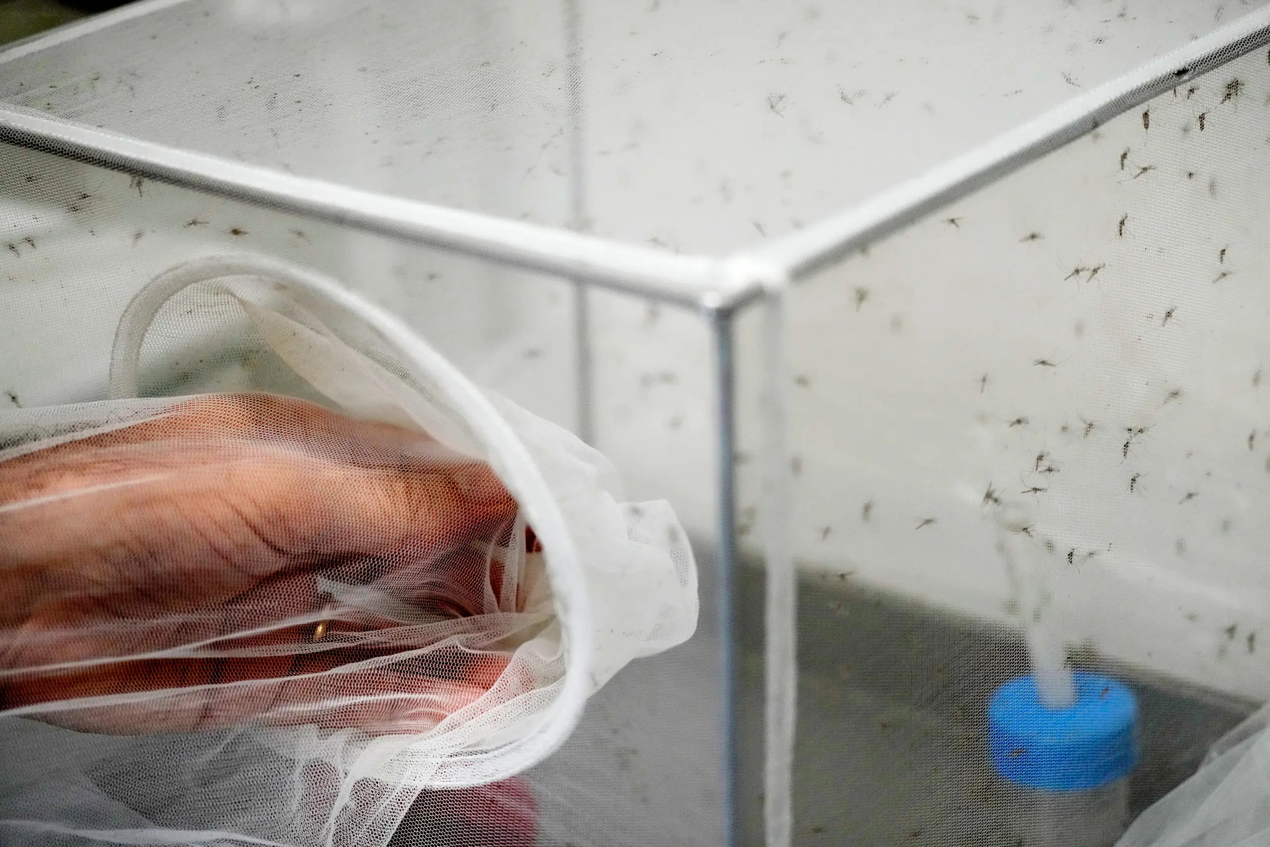 Italy Key Map As Europe warms, Italy sees West Nile virus spread farther and longer