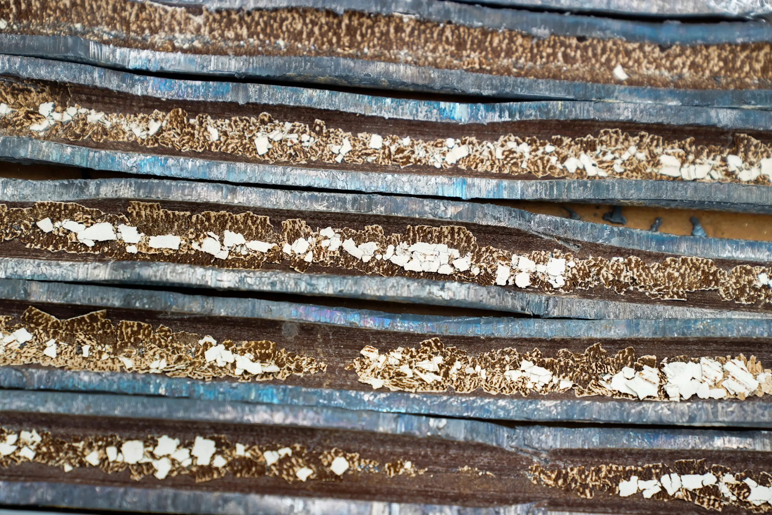 Michigan AG releases Flint water crisis report, says final ...