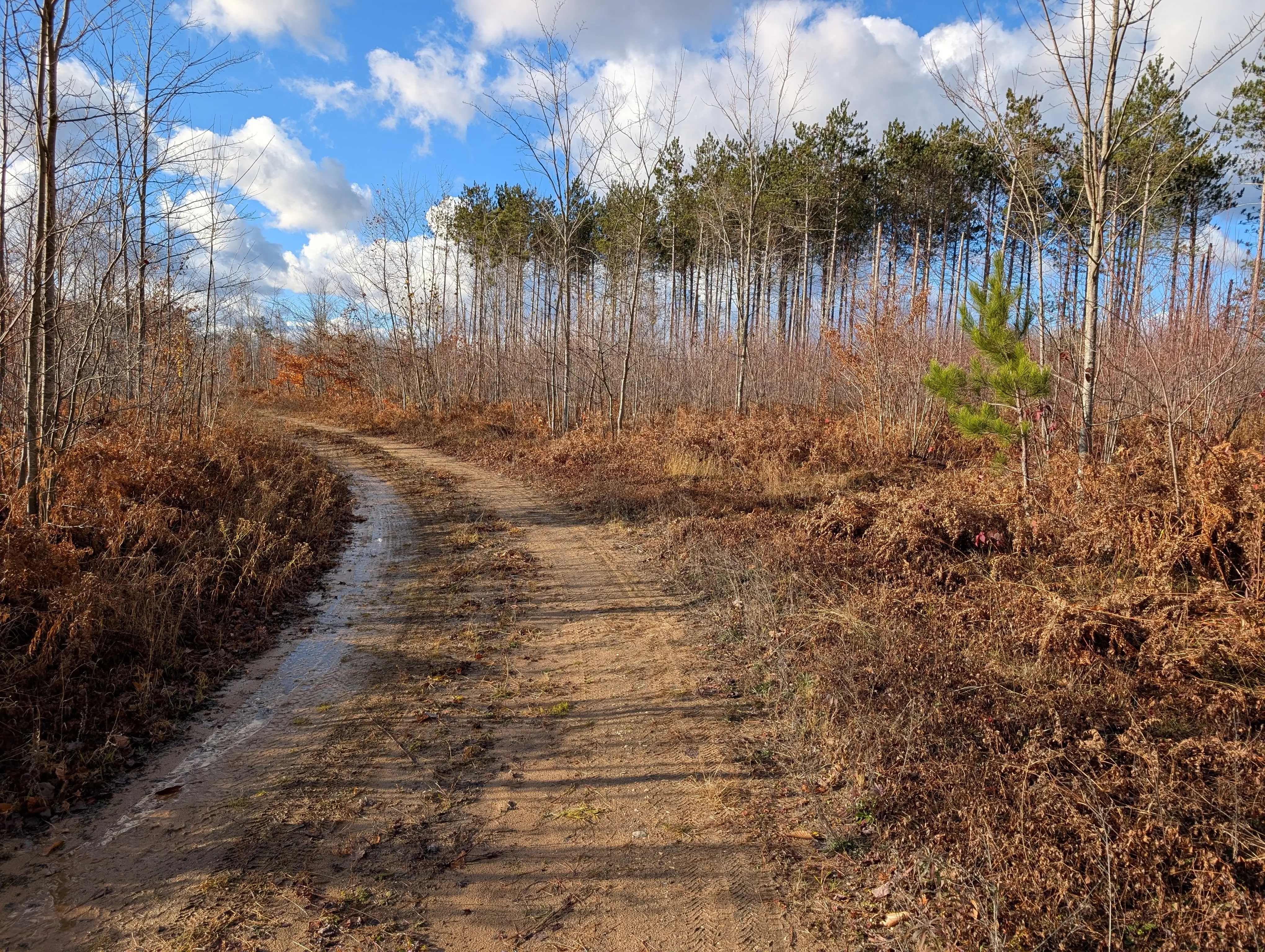 Api Jni DNR to auction nearly 100 Michigan properties next month