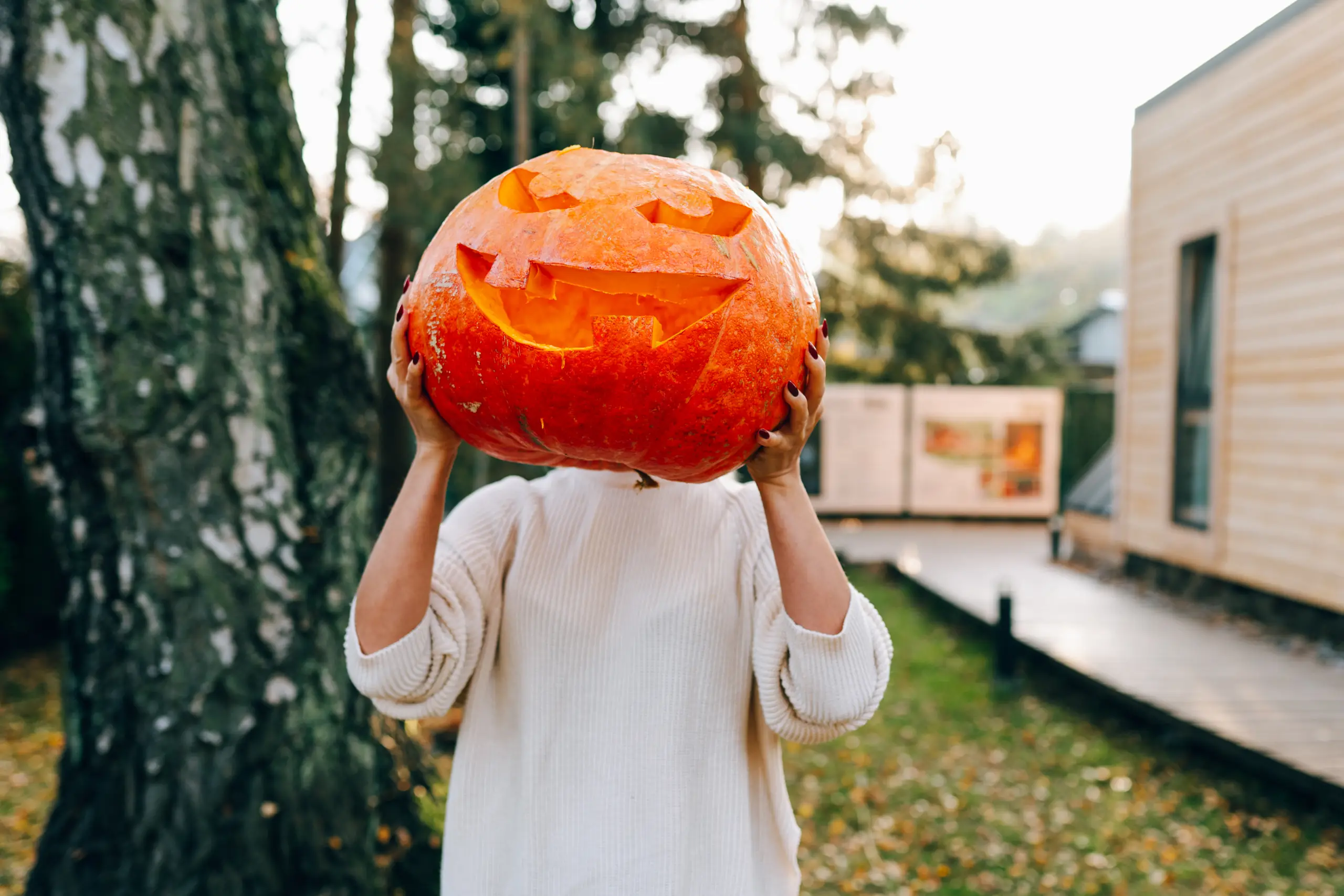 Olgo Boo Fall Fun, Frights and Metro Detroit Weekend Favorites