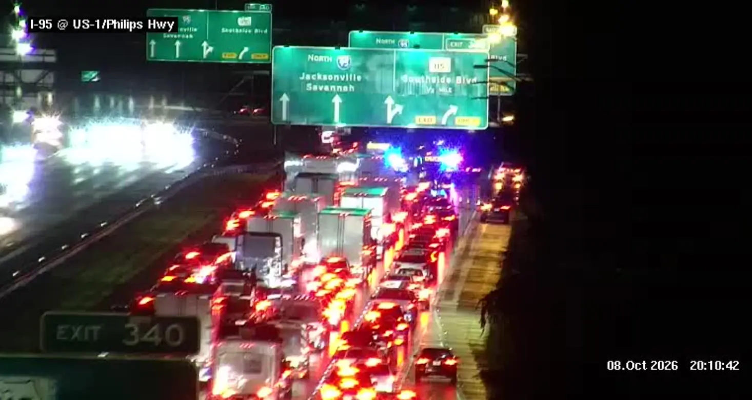 Traffic starts to clear after fallen tree in roadway closes northbound ...