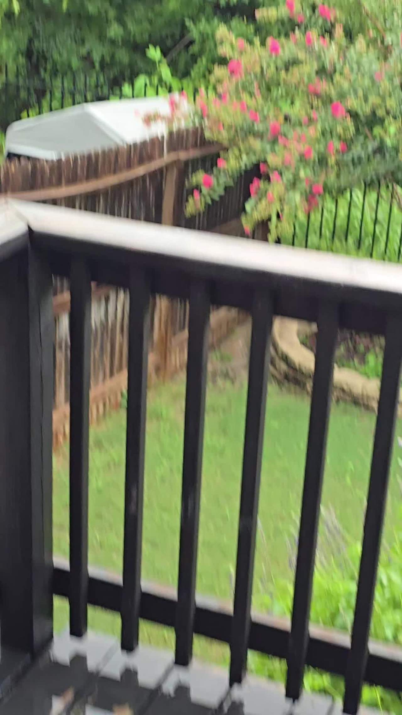 0.30 inches in less than 10 min of rain. 