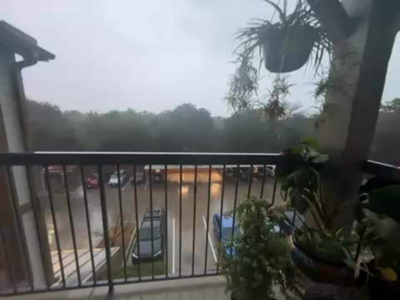 Thousand Oaks and Wetmore wind, rain and thunderstorms. Much needed. After a car wash 🙄🤣😉