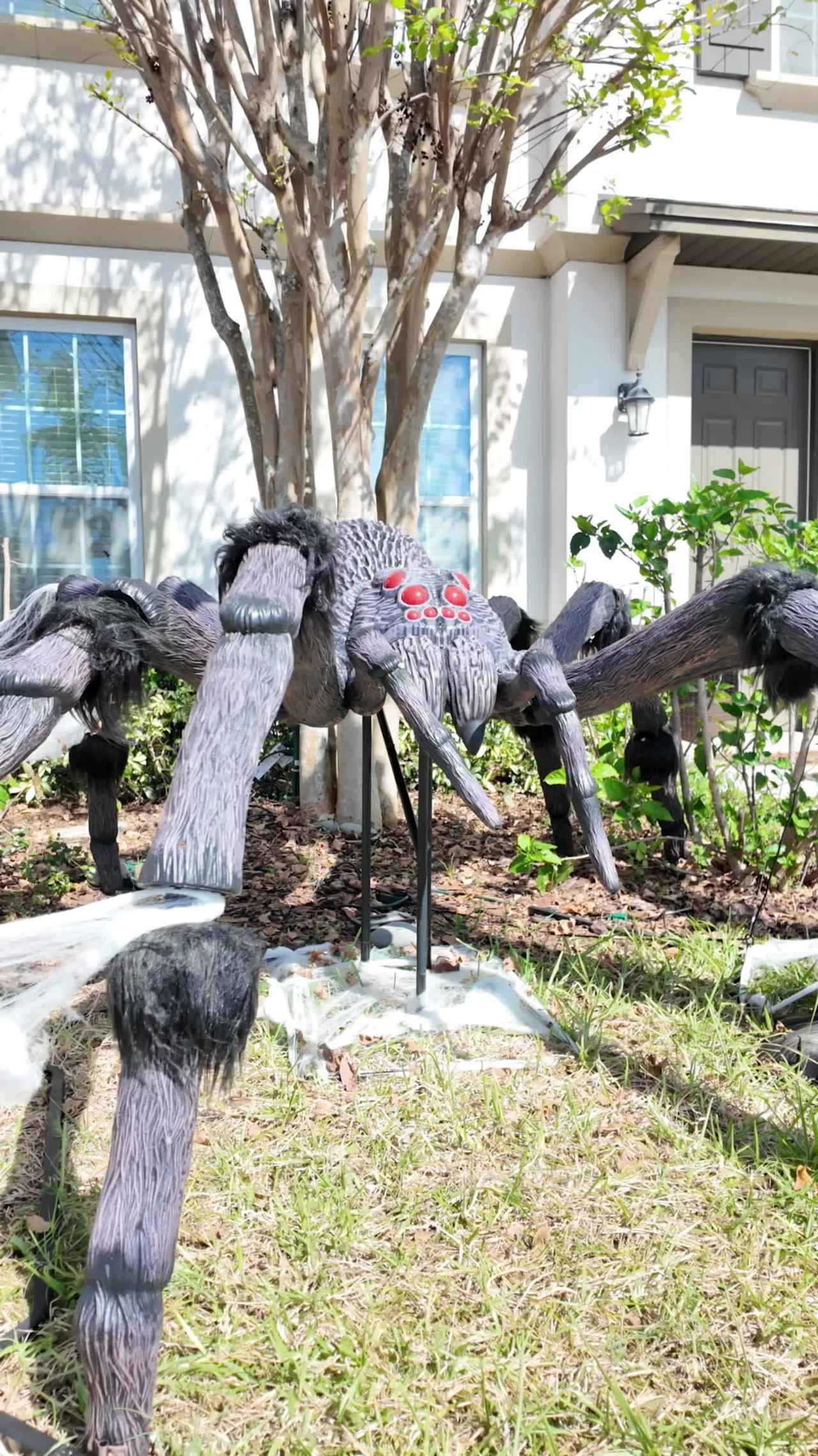 Out on a story and spotted these giants outside a home across from Horizon West Middle. The skeleton dog is so cute!