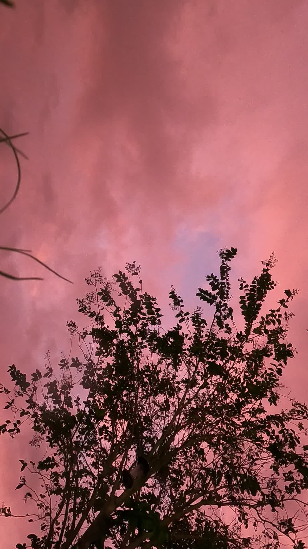 Time lapse yesterday 