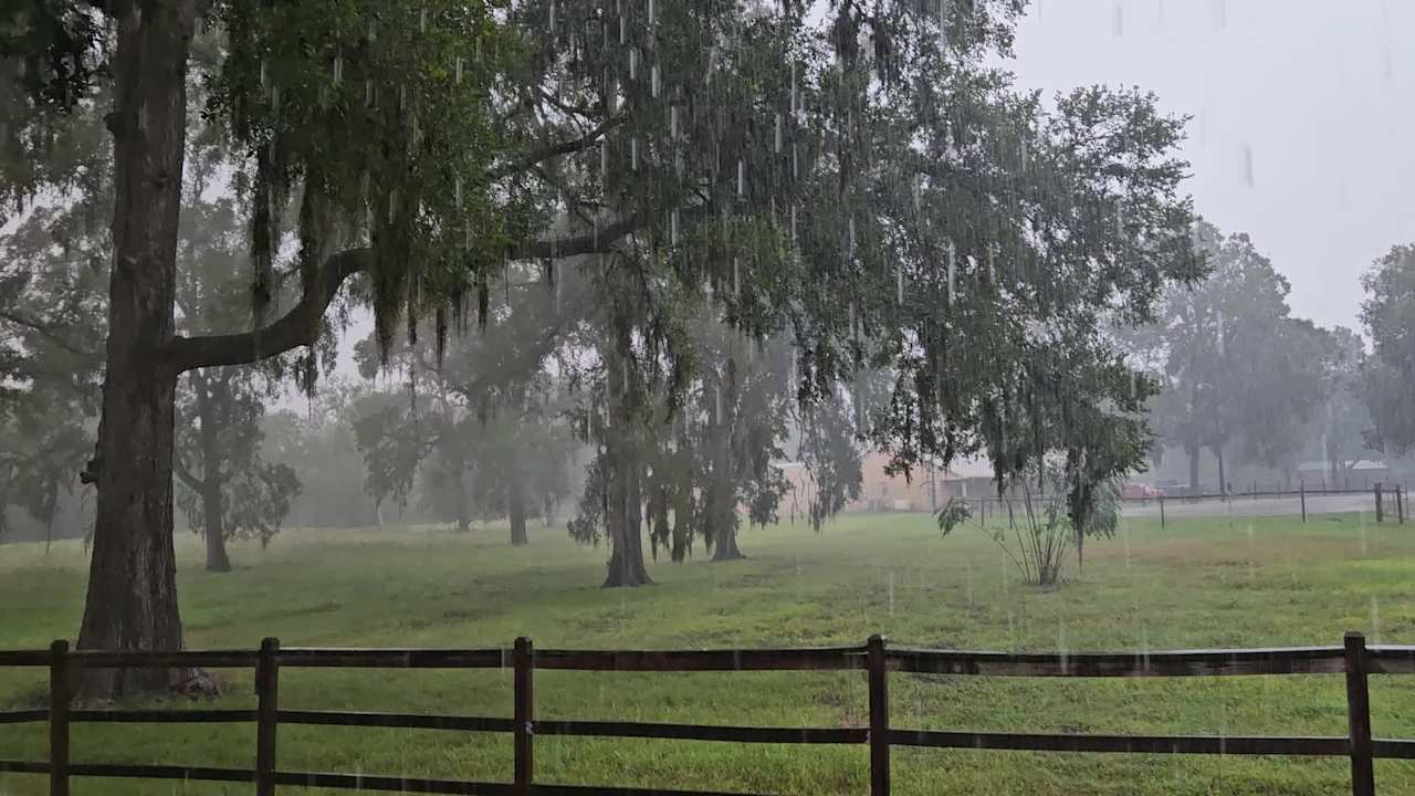 Much needed rain here at Hollerville Ranch.