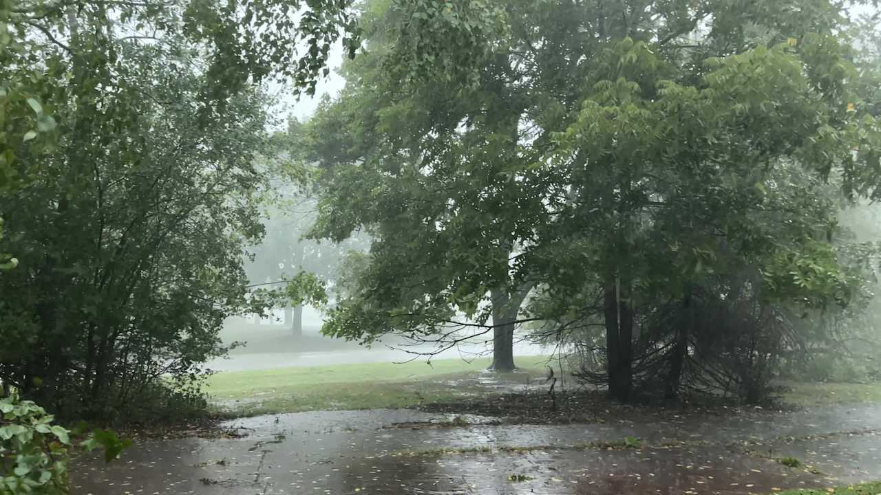 High winds and sheets of rain during the tornado warning today in West Bloomfield