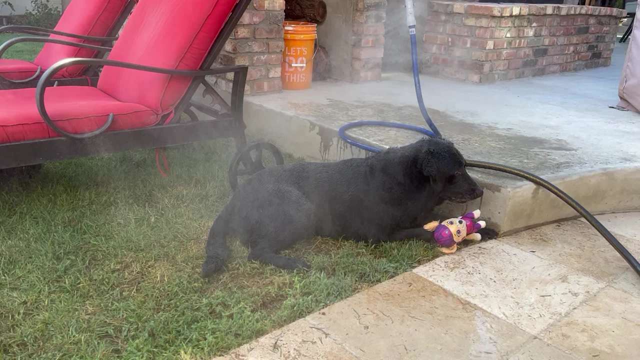 Staying cool in the heat!