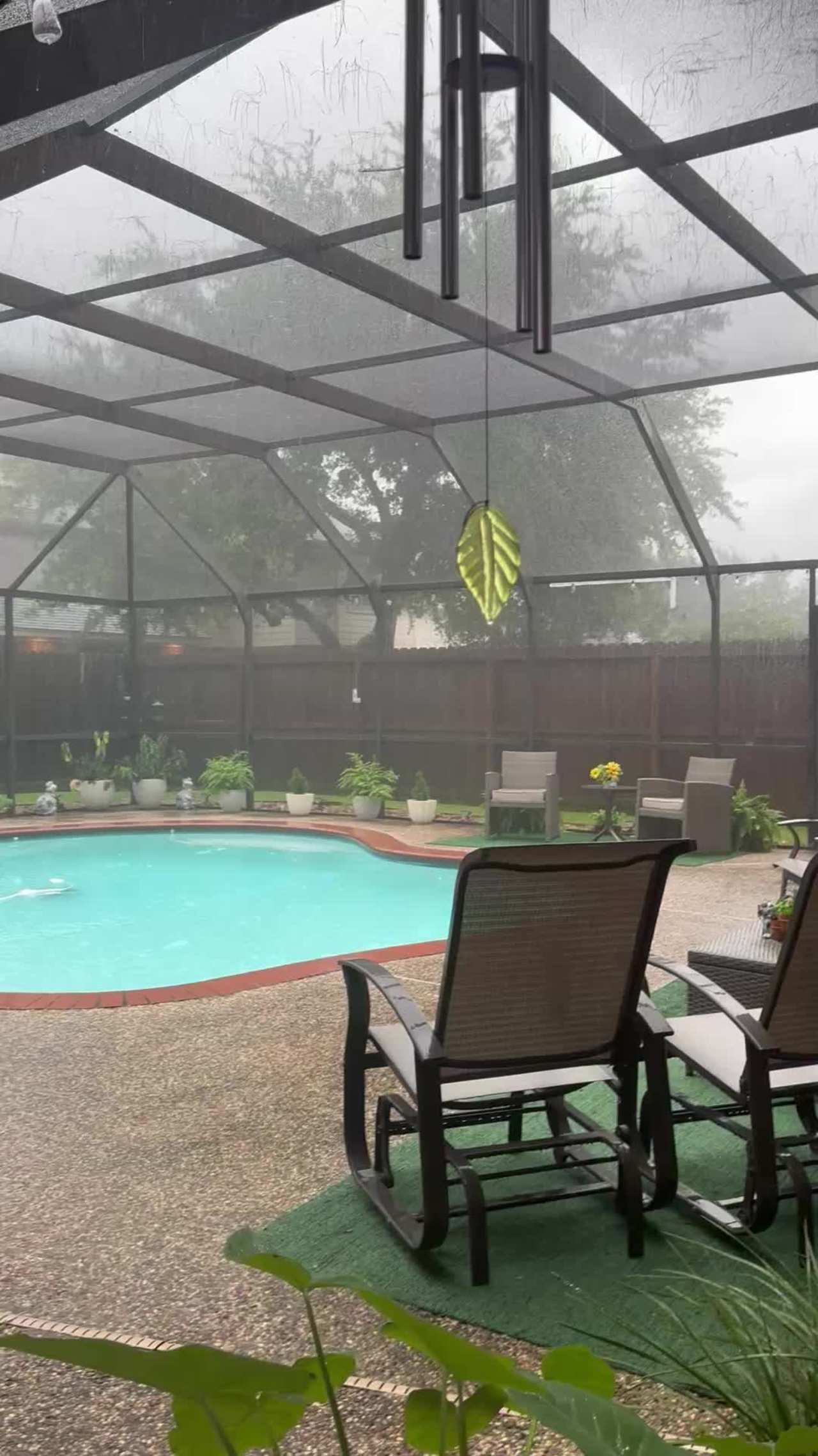 Windy day at Clear Lake