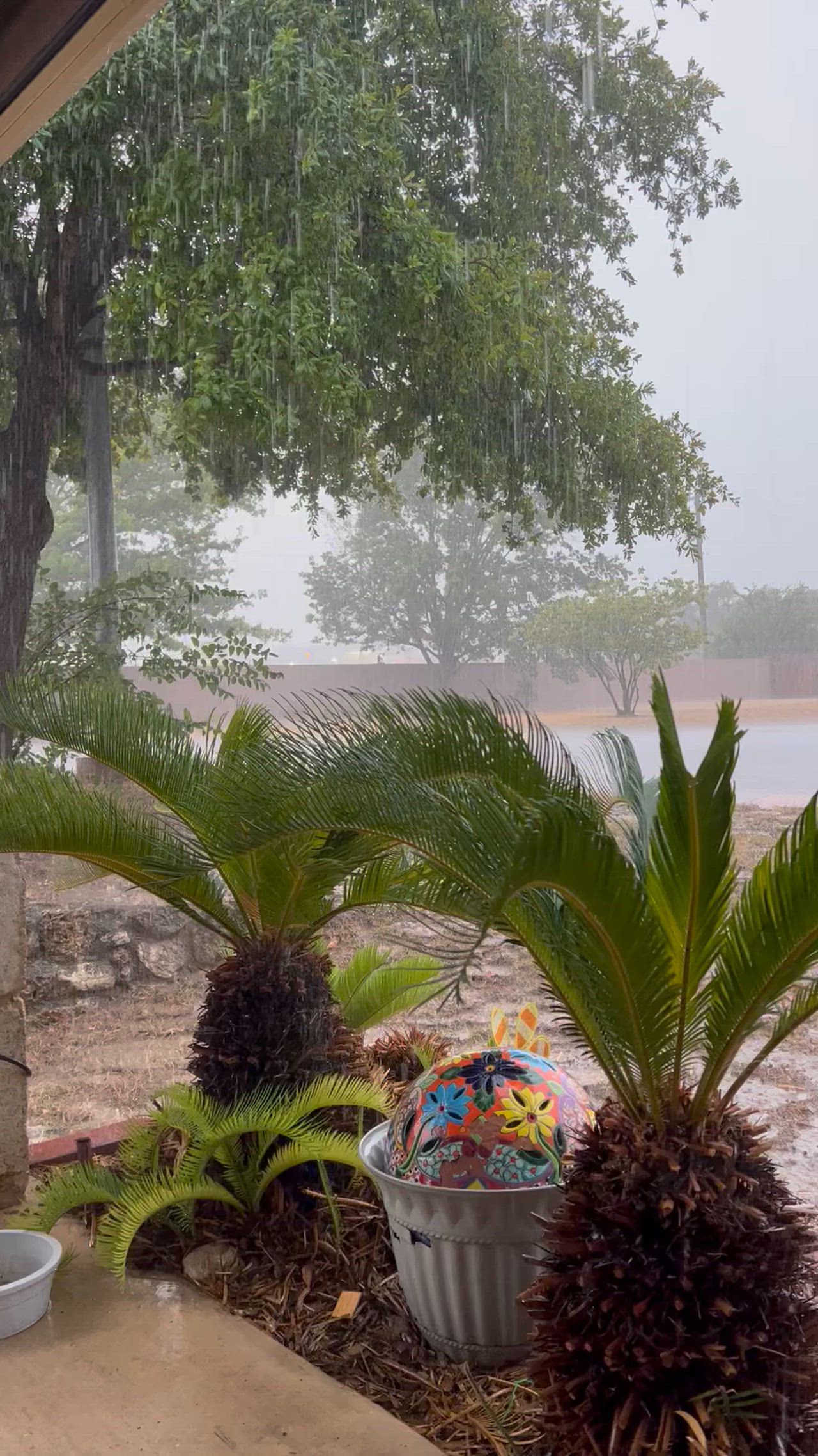 So happy to see the rain!