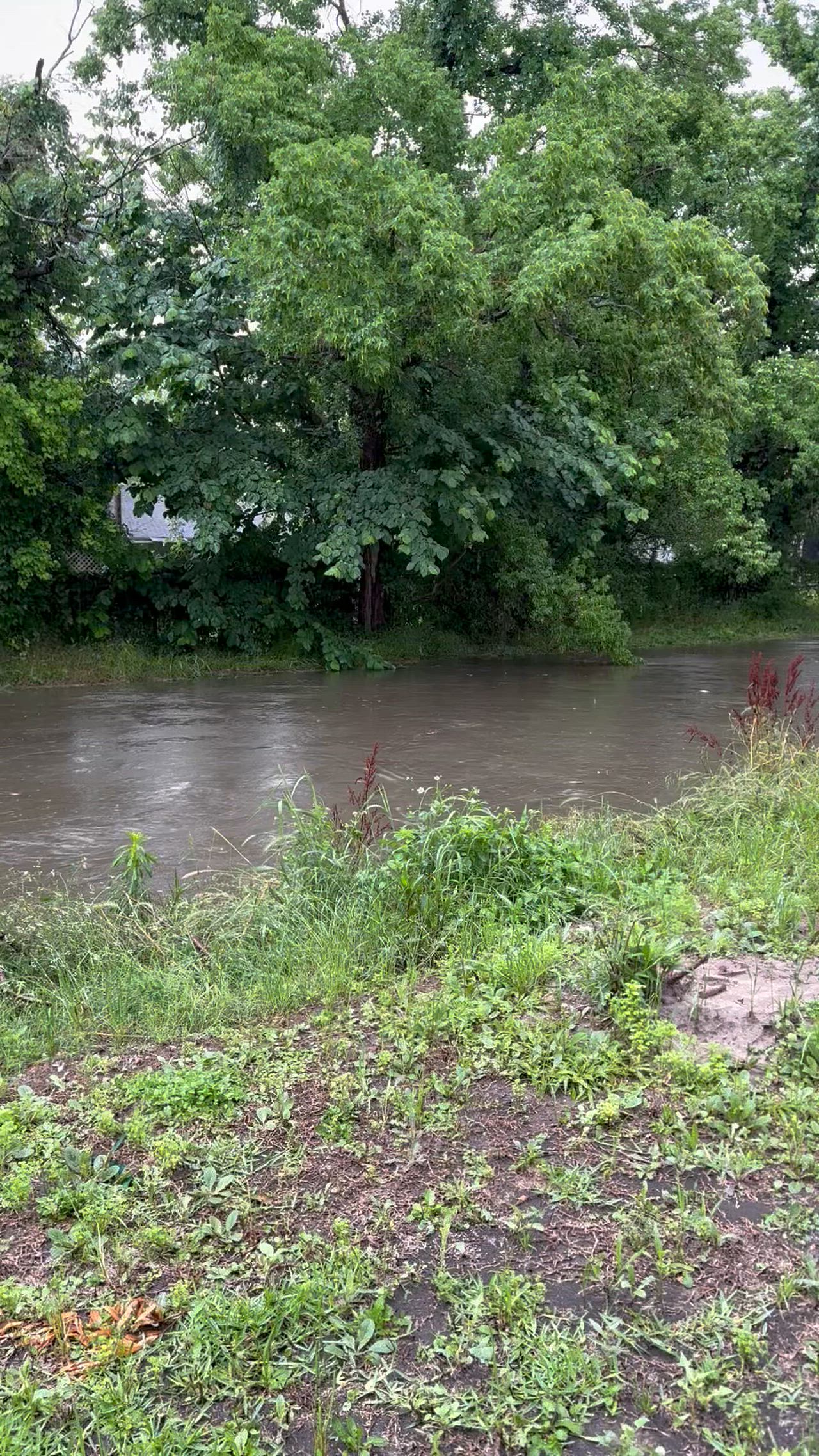 Ditch is full. So much rain and still going. Be safe everyone 