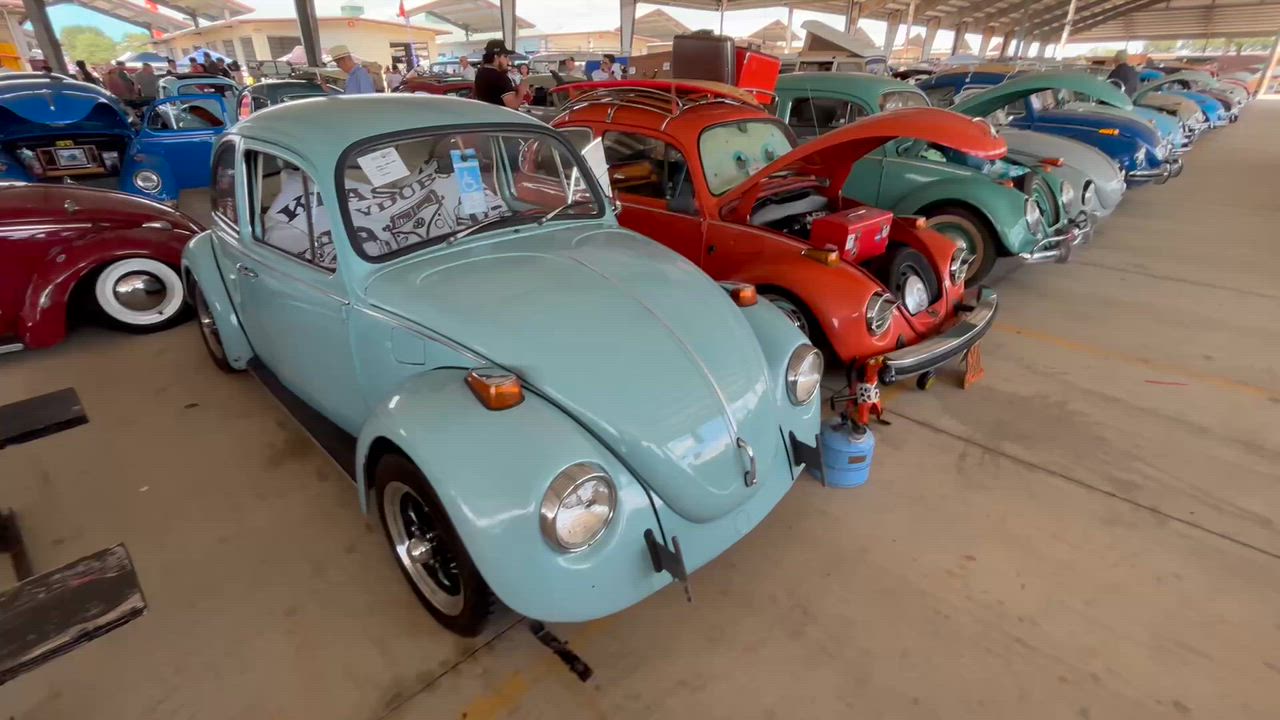 This place Traders Village is in desperate need of an Exterminator, way too many bugs 🐞.