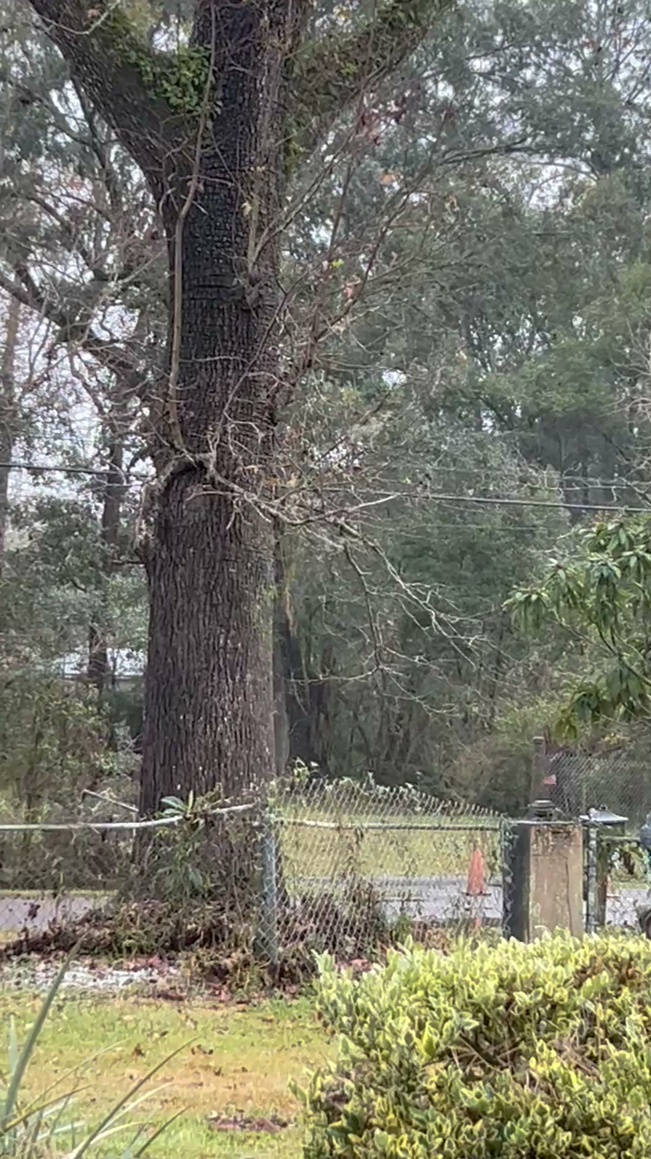 Slight  snow flurries on Northside of town in Jax Fl. 
