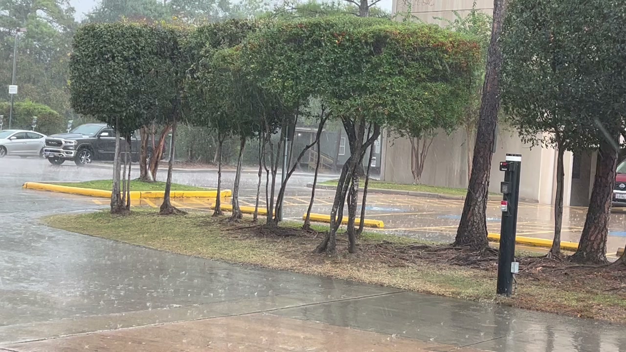 The Northern wind makes the raindrops dance on the driveway
