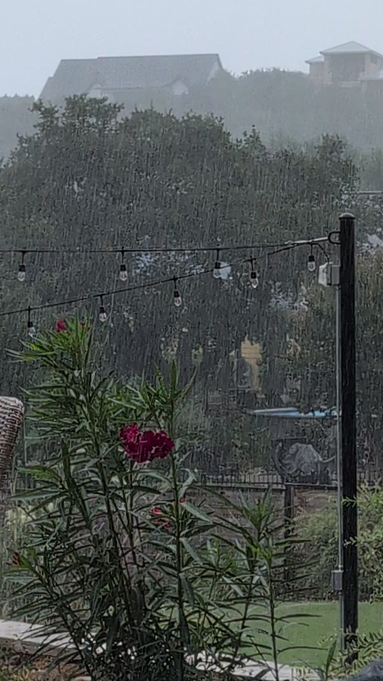 The rain arrived in Timberwood! 