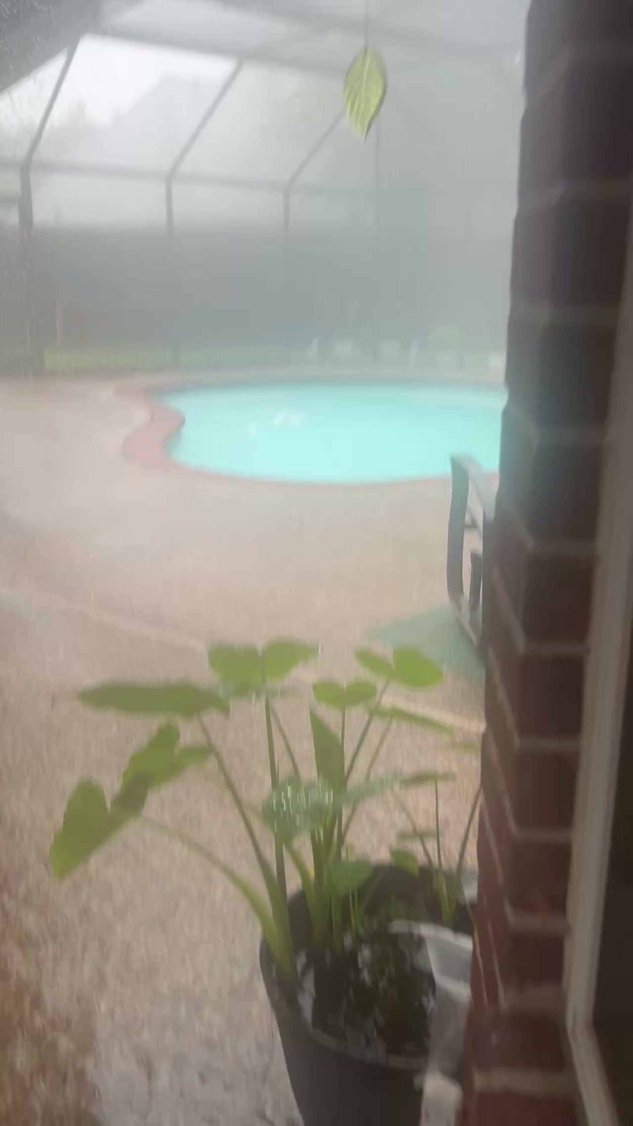 Rainy day at Clear Lake!!🥰🥰